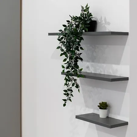 Apartmán Czackiego Comfort Studio